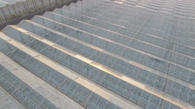 Seralarda sebze ile havadan görünümü