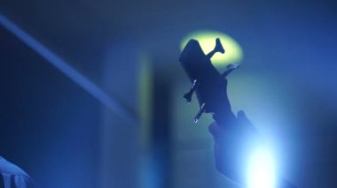 Gitar bir konserde canlı eylem