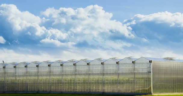 Zeitraffer, in dem sich Wolken in Richtung Gewächshaus bewegen. große Wolken — Stockvideo