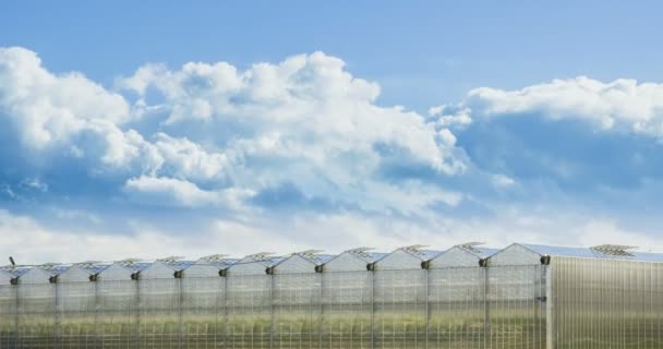 Timelapse of Big Clouds Moving Ower Greenhouse. — Stock Video