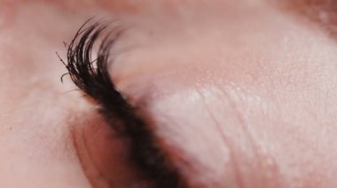 Kadın kahverengi göz açma. Super makro