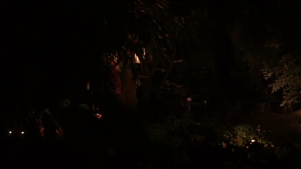 Una mujer camina en el bosque con la lámpara en la mano — Vídeo de stock