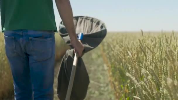 熟したコムギ畑を歩く男性農家 — ストック動画