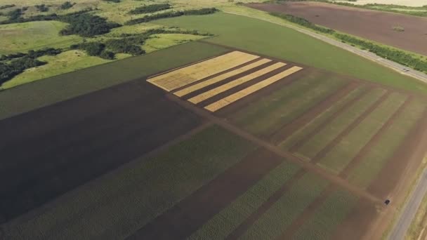 Vista aérea dos campos de fermer. Vídeo aéreo . — Vídeo de Stock