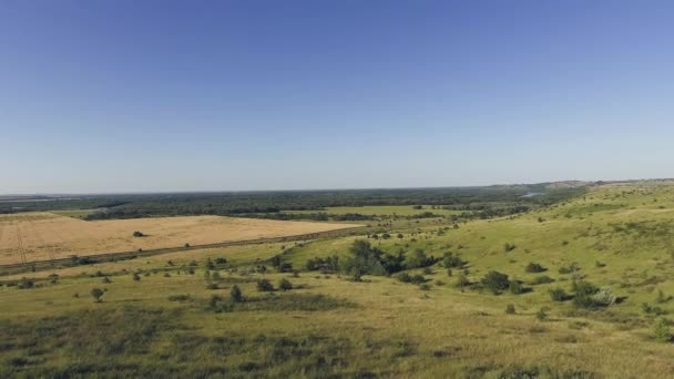 Krásná krajina s lesem, řekou a modrou oblohou — Stock video