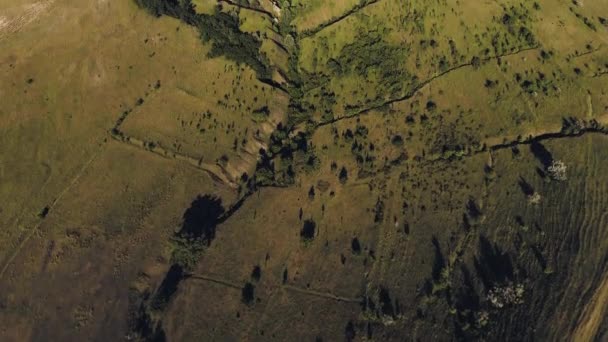 Hermoso paisaje con bosque, barranco y cielo azul — Vídeos de Stock