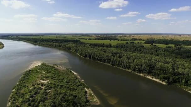 Beau paysage avec forêt et rivière 