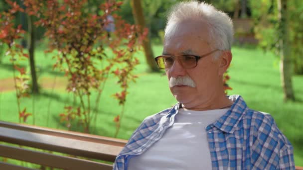 El abuelo está sentado en el banco y esperando a sus nietos mientras juegan en el parque. — Vídeos de Stock