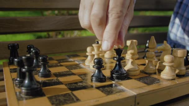 Alter Mann spielt Schach allein auf der Bank im Sommerpark — Stockvideo