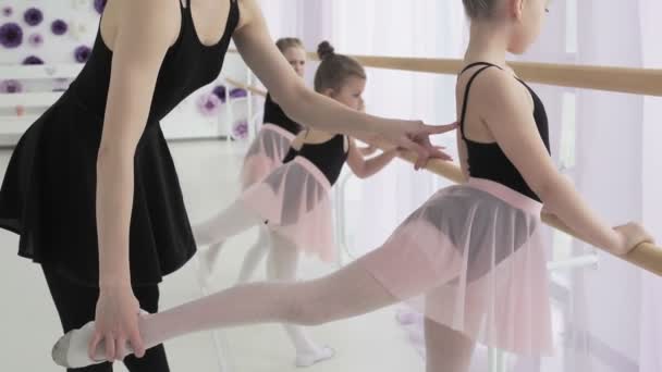 Маленькие балерины в фиолетовых трико тренируются в Барре . — стоковое видео
