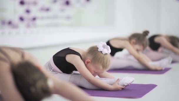 Niedliche kleine Ballerinas, die sich in der Tanzschule zusammen strecken. Liebenswertes kleines Mädchen, das in der Tanzschule turnt, sich dehnt, bevor es Ballett übt. Kinder, Disziplinkonzept — Stockvideo