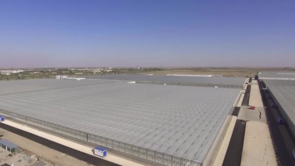 Vista aérea de la zona de invernadero con verduras — Vídeos de Stock