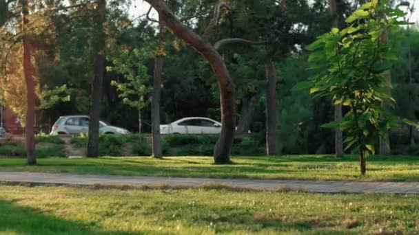 Mujer yound patina en el parque en un día soleado — Vídeos de Stock