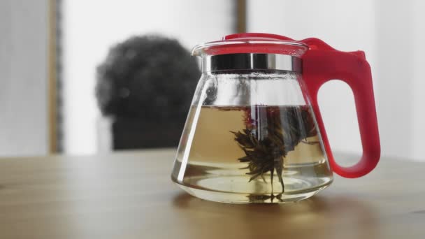 中国の伝統的な花茶がグラスティーポットに咲く — ストック動画
