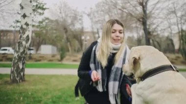 Genç kadın parkta Labrador Retriever köpeğiyle oynuyor.