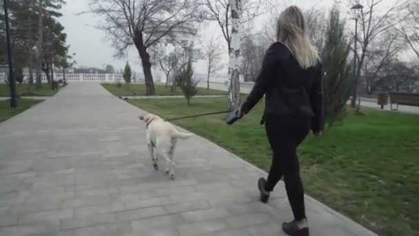 Vista posterior de una mujer con máscara negra pasea con su perro labrador en el parque durante la pandemia del coronavirus COVID-19 en cuarentena 2019-2020 — Vídeos de Stock