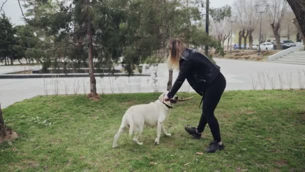 Atractiva mujer jugando con su perro labrador en el parque de la ciudad — Vídeos de Stock