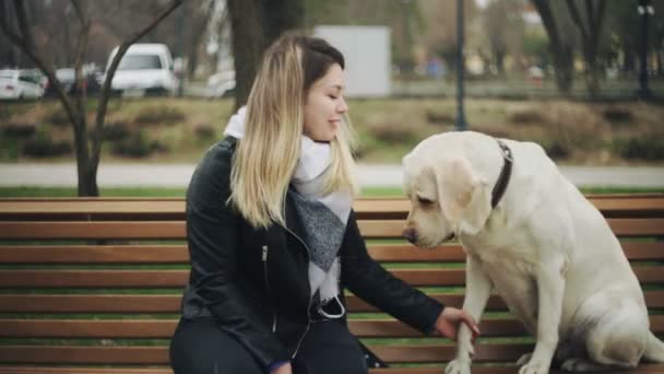 Donna attraente si siede con il cane felice labrador retriever sulla panchina e parla al telefono nel parco della città — Video Stock