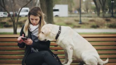 Çekici kadın, av köpeğiyle bankta oturur ve şehir parkında telefon kullanır.