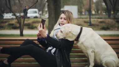 Labrador köpeği olan genç bir kadın parkta bankta selfie çekiyor..