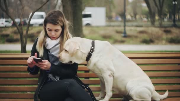 Donna attraente si siede con cane labrador retriever sulla panchina e utilizza il telefono nel parco della città — Video Stock