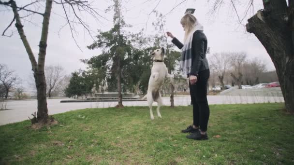 매력적 인 여자 가 도시 공원에서 노젓는 개를 훈련시키다 — 비디오