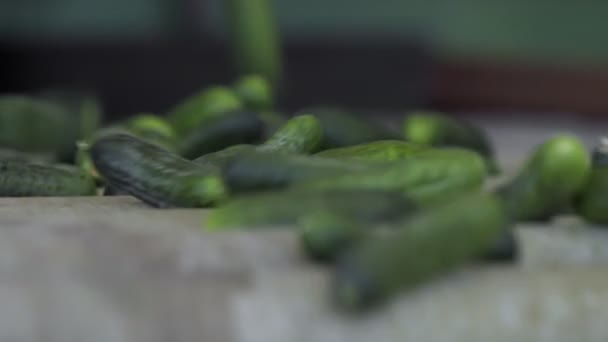Nahaufnahme einer automatischen Anlage zur Verarbeitung von Gemüse. Gurken haltbar machen. Gurkenkonserven. Glasgefäße mit Gurken und Gewürzen. — Stockvideo