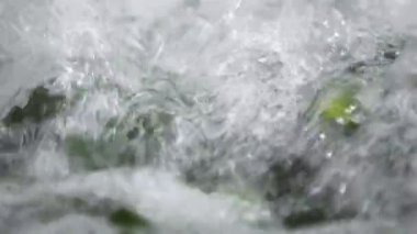 Sebzelerin İşlenmesi İçin Otomatik Çamaşır Hattı. Salatalığı koruyorum. Konserve salatalık. Salatalık ve baharatlı cam kavanozlar..