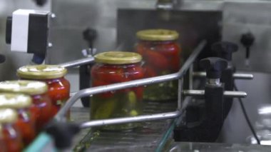 Sebzelerin İşlenmesi İçin Otomatik Hat. Domates ve salatalık saklıyorum. Konveyör bandında domatesli cam kavanozlar ve salatalık.