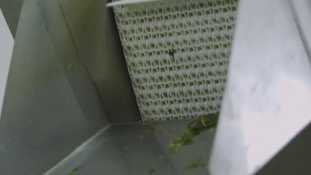 Ligne de lavage automatique pour le traitement des légumes. Préserver le concombre. Concombres en conserve. Pots en verre avec concombres et épices . — Video
