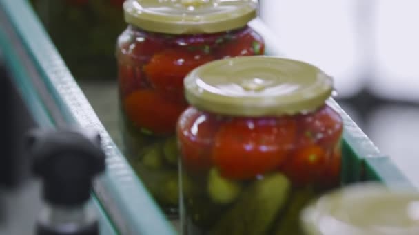 Linha Automática para Processamento de Legumes. Preservação de tomates e pepinos. Frascos de vidro com tomates e pepinos em uma correia transportadora — Vídeo de Stock