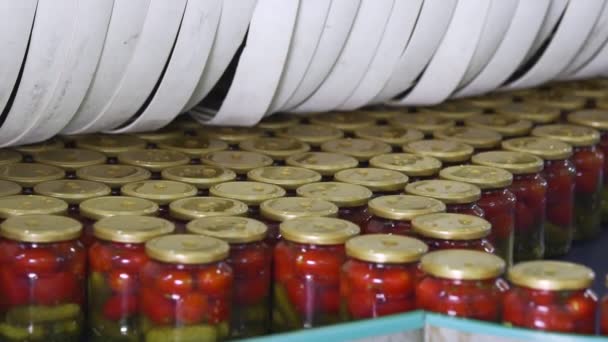 Automatic Line for Processing of Vegetables. Preserving Tomatoes and cucumbers. Glass jars with Tomatoes and cucumbers on a Conveyor belt — Stock Video