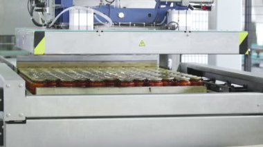 Domates ve salatalık saklıyorum. Fabrika deposunda domatesli cam kavanozları ve salatalıkları kapat.