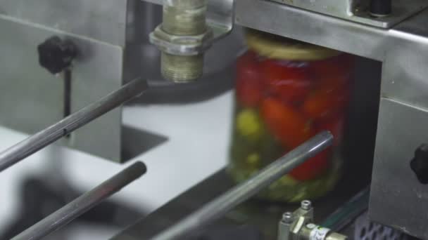 Automatische Linie zur Verarbeitung von Gemüse. Tomaten und Gurken haltbar machen. Glasgefäße mit Tomaten und Gurken auf einem Förderband — Stockvideo