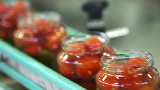 Linha Automática para Processamento de Legumes. Preservação de tomates e pepinos. Frascos de vidro com tomates e pepinos em uma correia transportadora — Vídeo de Stock