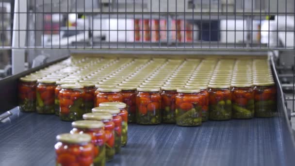 Automatic Line for Processing of Vegetables. Preserving Tomatoes and cucumbers. Glass jars with Tomatoes and cucumbers on a Conveyor belt — Stock Video