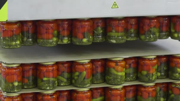 Bevarande av tomater och gurkor. Närbild av glasburkar med tomater och gurkor i fabrikslagring — Stockvideo