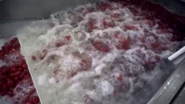 Sebzelerin İşlenmesi İçin Otomatik Çamaşır Hattı. Domatesleri koruyorum. Konserve domates. Domates ve baharatlı cam kavanozlar..