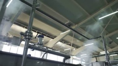 Sebzelerin İşlenmesi İçin Otomatik Hat 'ta Buhar. Salatalığı koruyorum. Konserve salatalık. Salatalık ve baharatlı cam kavanozlar..