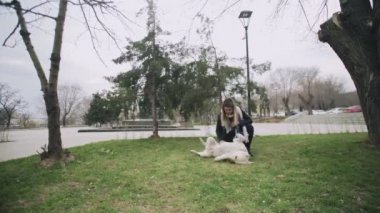 Çekici kadın parkta Labrador köpeklerini tırmalıyor.