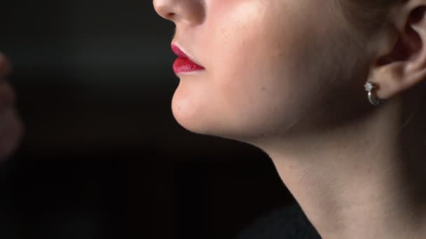 Close up truccatore fare make-up professionale per la giovane donna in studio di bellezza. Trucco Artista applicando rossetto sul modello — Video Stock