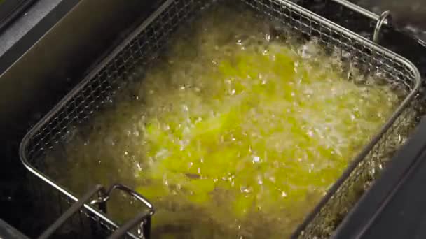 Bearbetning av pommes frites i fritösen — Stockvideo