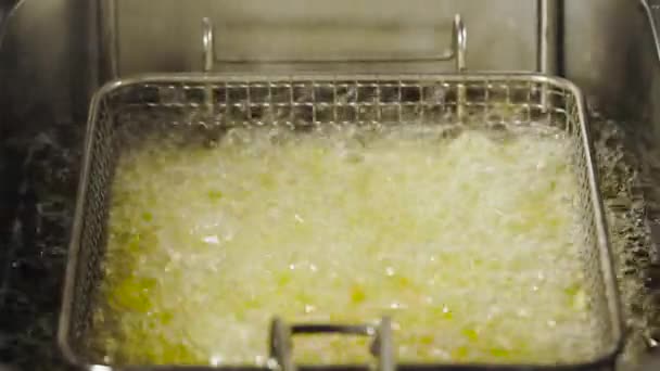 Process of cooking French fries in the deep fryer — Stock Video