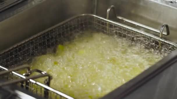 Processo de cozinhar batatas fritas na fritadeira — Vídeo de Stock