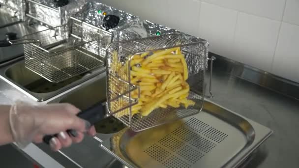 Bearbetning av pommes frites i fritösen — Stockvideo