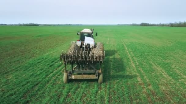 Jordbrukare i en traktor med såmaskin bereder marken för sådd av sädesslag i plöjd åker. Plantera frön i jord. Vårens jordbruksarbete. Antenn ovanifrån, drönare flyga framåt följ traktor — Stockvideo