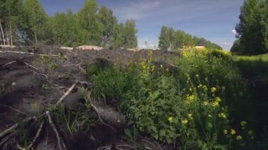 Yol çalışıyor. Kırsal alanda kamyonlar, kazıcılar ve yol onarımı çalışmaları.