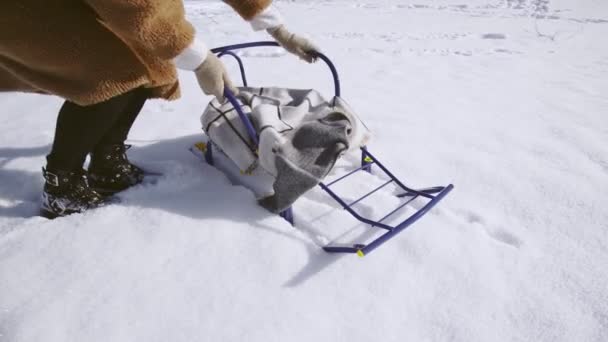 Young happy woman is preparing a sled for drive — Stock Video