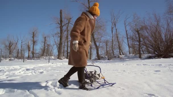 Νεαρή ευτυχισμένη γυναίκα κάθεται σε ένα έλκηθρο στο χειμερινό πάρκο — Αρχείο Βίντεο
