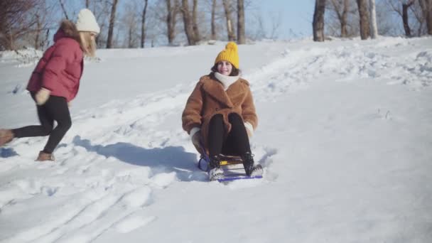 Dos mujeres jóvenes se divierten con trineo en el parque de invierno — Vídeos de Stock